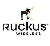 density-networks-mexico-ruckus